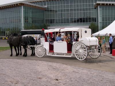 Image Created around the theme of whitehaven beach in queensland, this apartment brings you to the continent of australia. Our Fleet Whitehaven