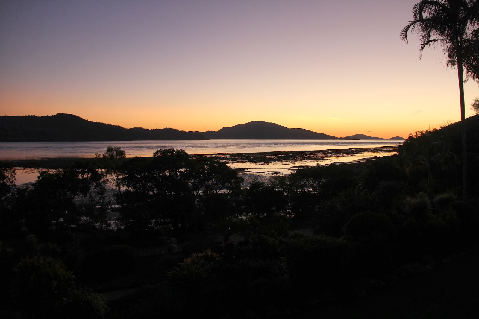 Inner reef snorkeling, exploring the southern end of whitehaven beach & time to explore hamilton island. Zaydee To Australia Day 13 Hamilton Island Catseye Beach Whitehaven Beach Cockey S Snorkeling