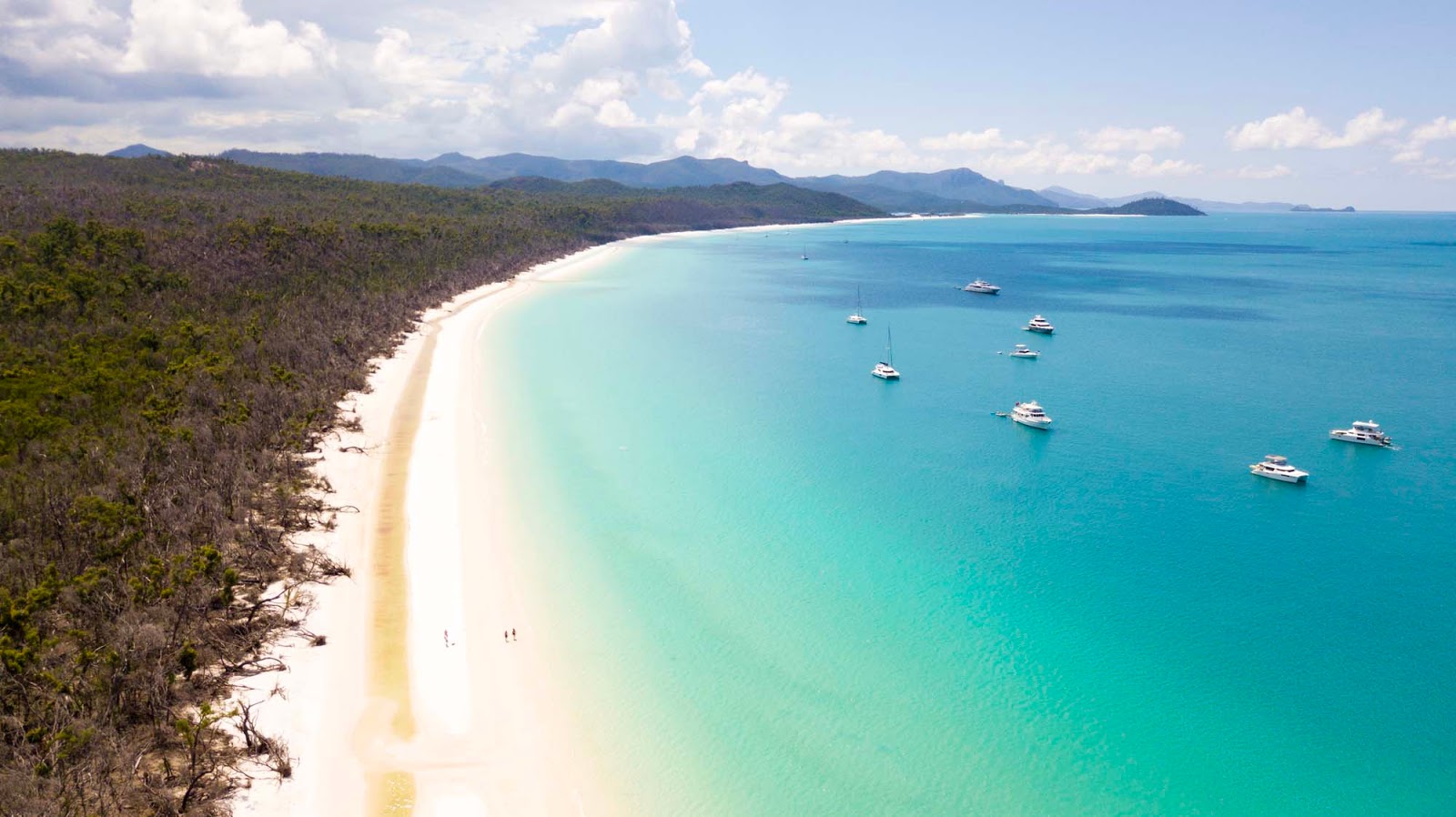 Sunset & dinner cruise duration 4 hours. The Best Whitehaven Beach Tour With Cruise Whitsundays Explore Shaw
