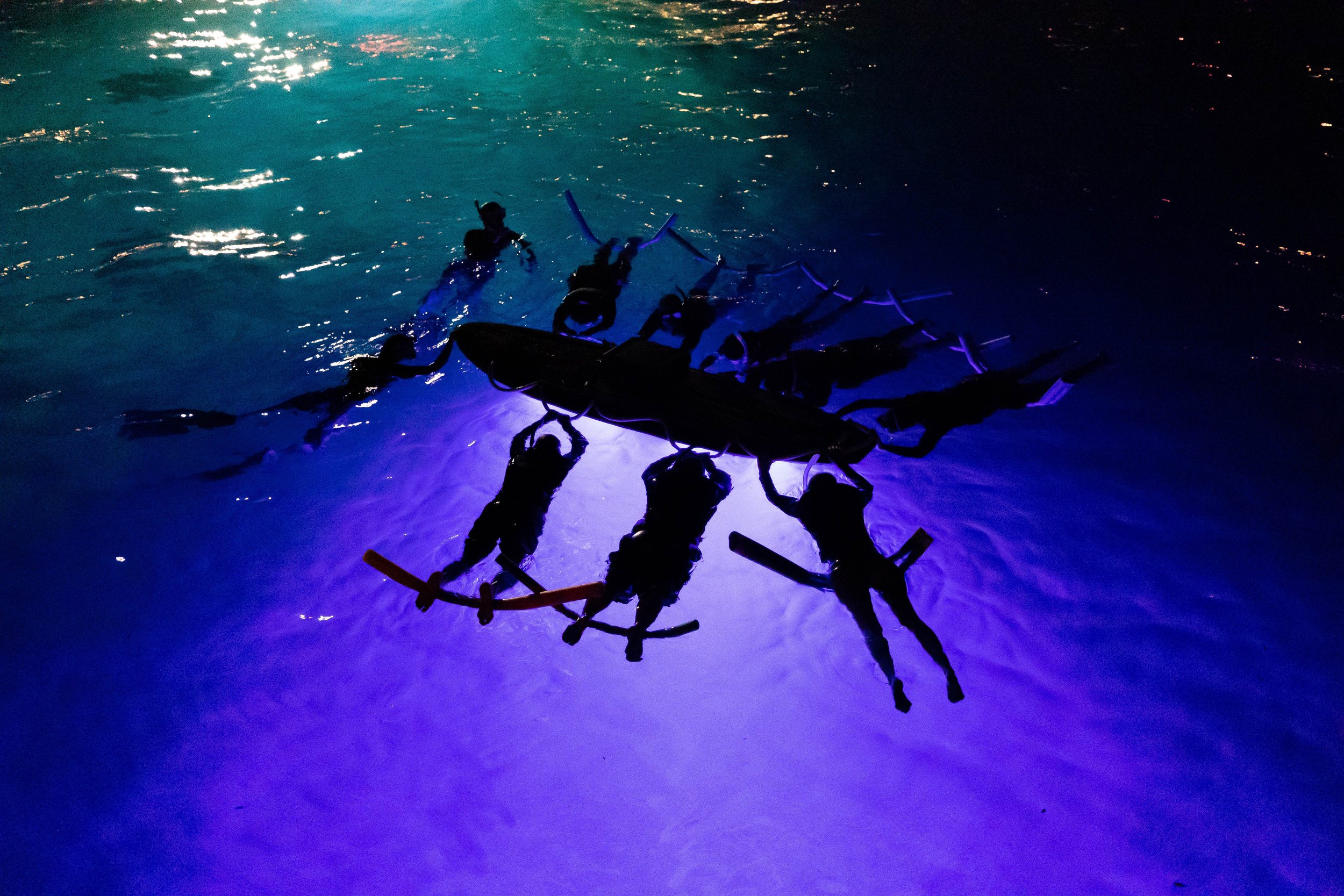 5.0 star rating · body glove cruises. Snorkel Tours And Private Charters In Kona Hawaii Hawaiian Adventures