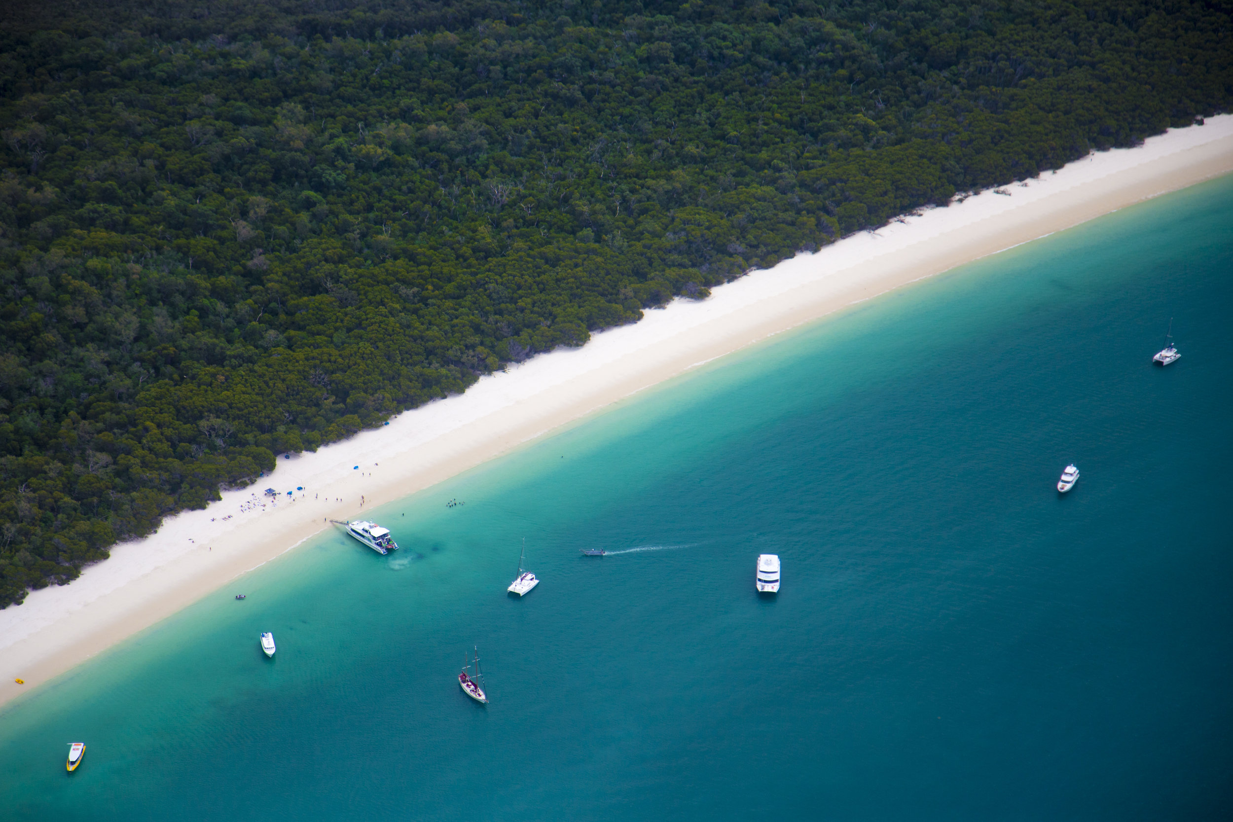 20040 explore’s sail & snorkel whitehaven & chalkies beach 19995 hamilton island air best of both worlds by helicopter 20032 hamilton island air reef and beach explorer by seaplane Great Barrier Reef Flight Bulb Mode