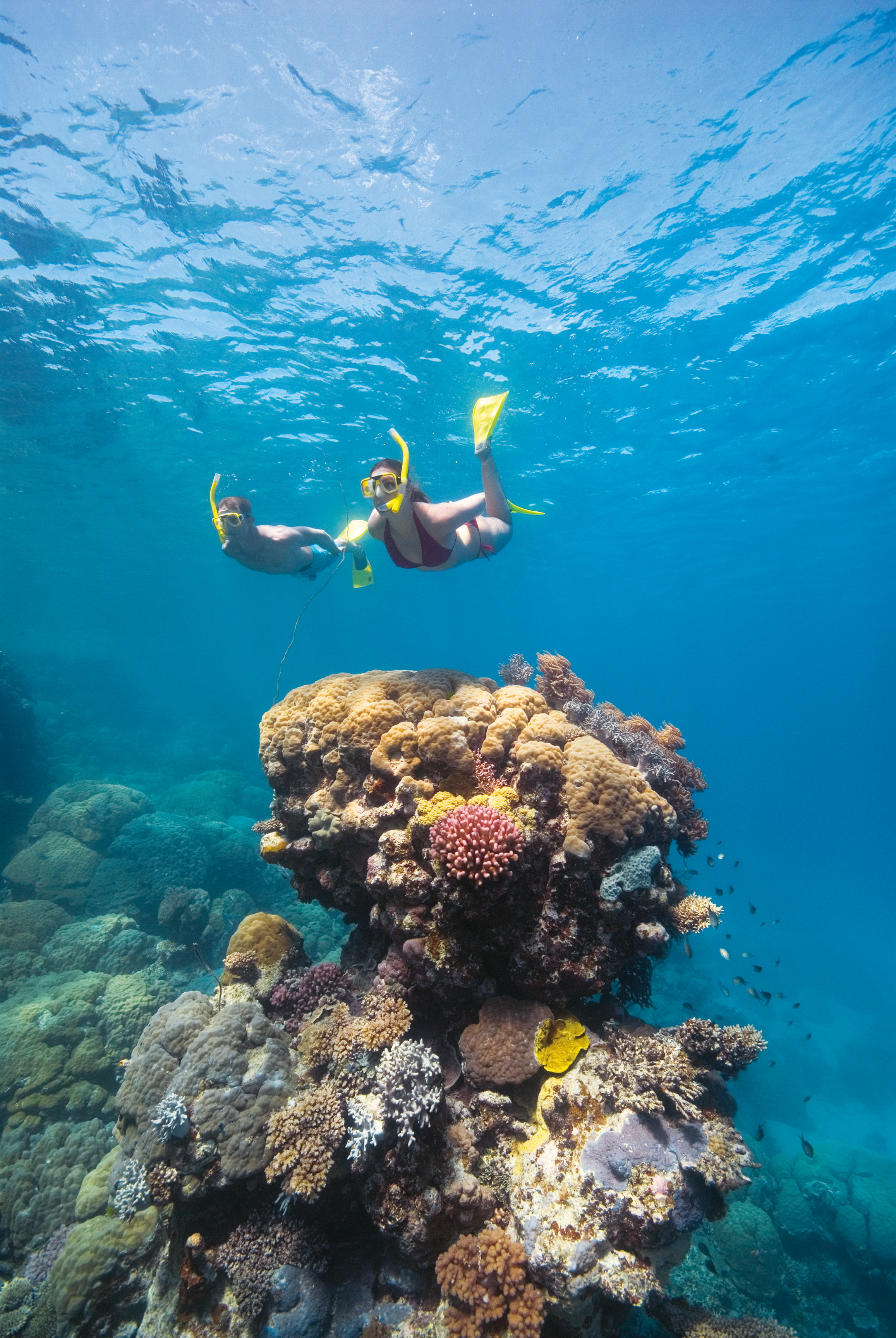 20040 explore’s sail & snorkel whitehaven & chalkies beach 19995 hamilton island air best of both worlds by helicopter 20032 hamilton island air reef and beach explorer by seaplane Activities And Tours Elysian Retreat