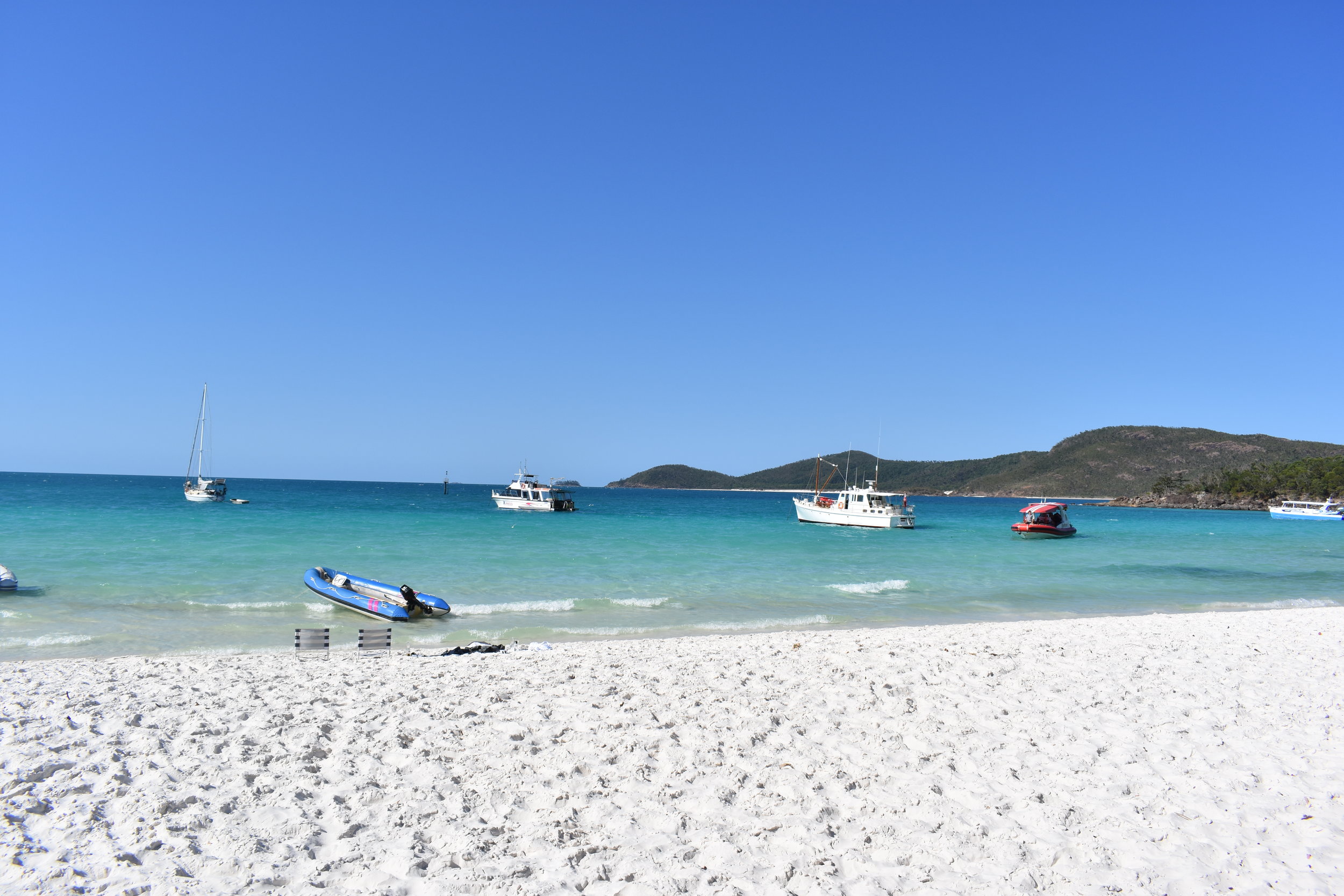 There were numerous big & colorful fish around. Is Whitehaven Beach Overrated Beyond The Bay