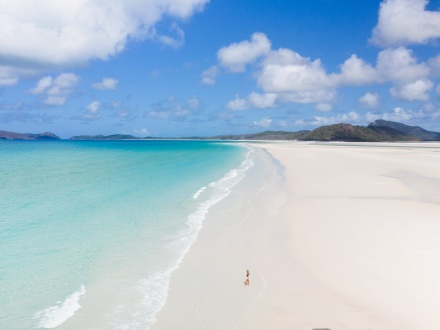 16+ Whitehaven Beach Tours&nbsp;Tripadvisor