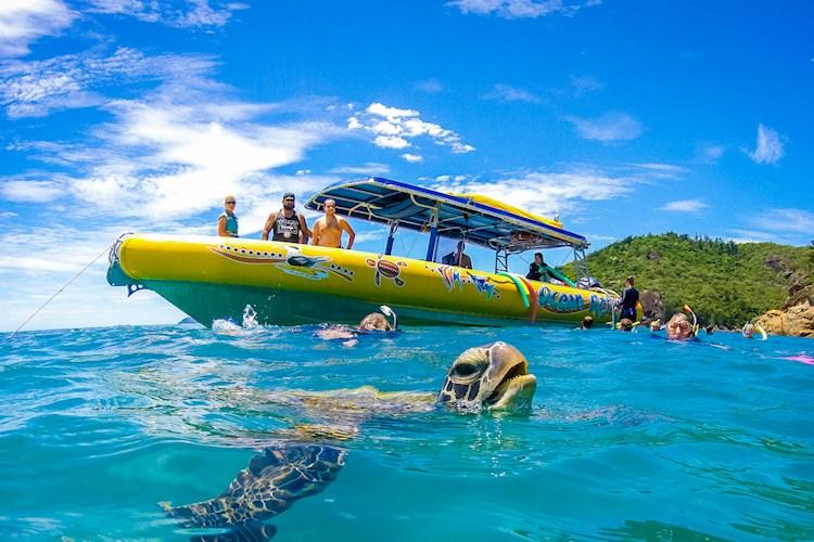 43+ Whitehaven Day Tour