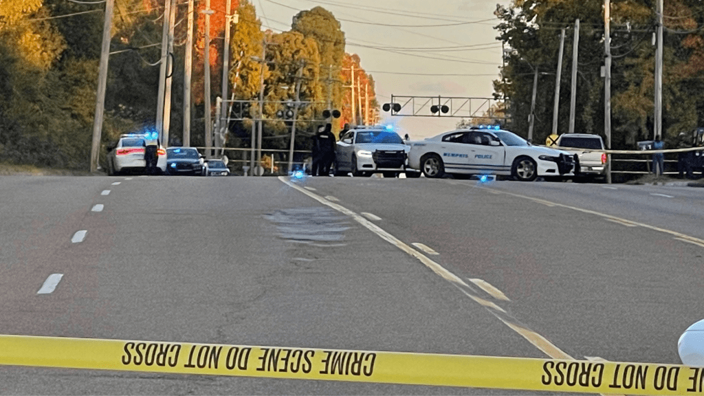 Best Fedex Package From Whitehaven Ms Traffic&nbsp;Department