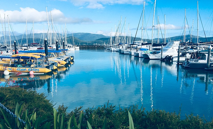 29+ Times Of Cruise Whitsundays Boat The Whitehaven In&nbsp;August