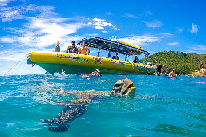 25+ Whitehaven Beach&nbsp;Excursions