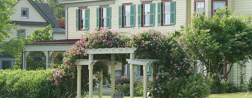 Exploring Whitehaven Hotel&nbsp;Md