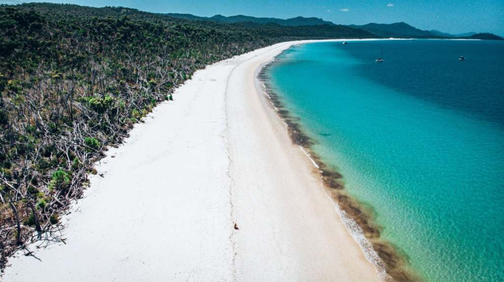 Exploring Tours From Cairns To Whitehaven&nbsp;Beach