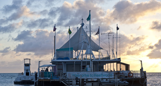 27+ Whitehaven Beach Cruise Fantasea