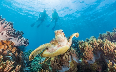Great Barrier Reef And Whitehaven Beach&nbsp;Australia