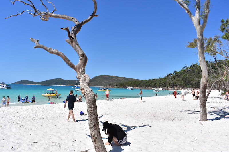 The world is a vast, beautiful place. Is Whitehaven Beach Overrated Beyond The Bay