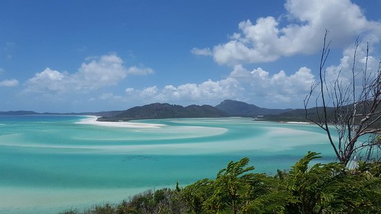 Exploring Hamilton Island Whitehaven Beach Half&nbsp;Day